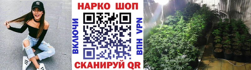 Купить закладку Alpha PVP  Галлюциногенные грибы  Мефедрон  ГАШИШ  COCAIN  Междуреченск