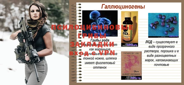 гашик Зеленодольск