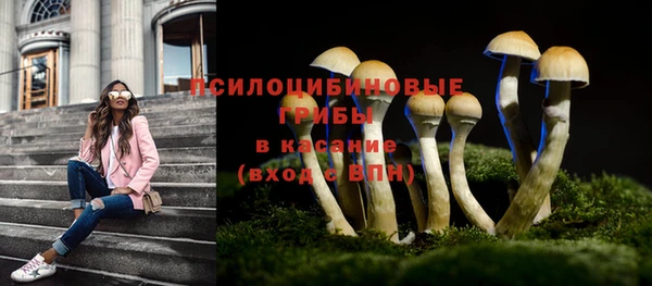 бошки Зеленокумск